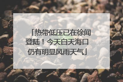 热带低压已在徐闻登陆！今天白天海口仍有明显风雨天气