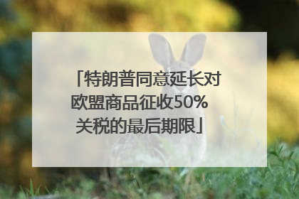 特朗普同意延长对欧盟商品征收50%关税的最后期限