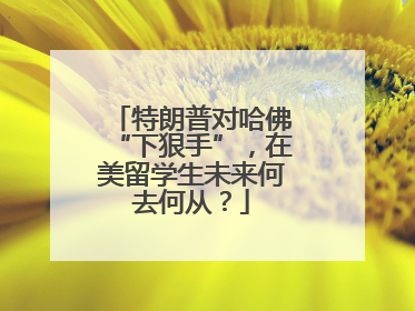 特朗普对哈佛“下狠手”，在美留学生未来何去何从？