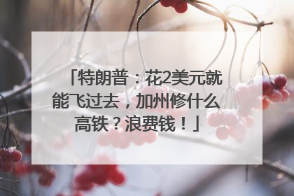 特朗普：花2美元就能飞过去，加州修什么高铁？浪费钱！