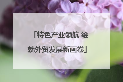 特色产业领航 绘就外贸发展新画卷