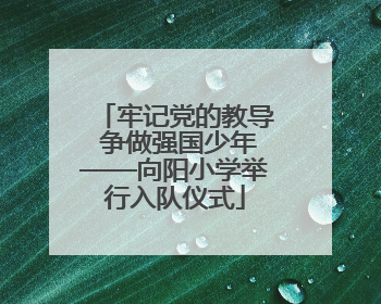 牢记党的教导 争做强国少年——向阳小学举行入队仪式