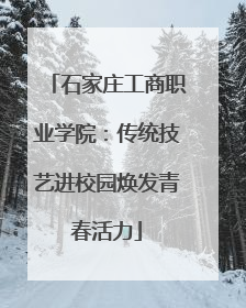 石家庄工商职业学院：传统技艺进校园焕发青春活力