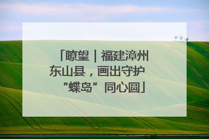 瞭望｜福建漳州东山县，画出守护“蝶岛”同心圆