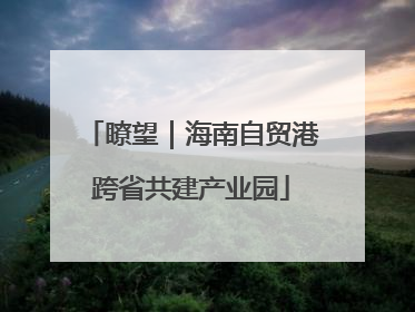 瞭望｜海南自贸港跨省共建产业园