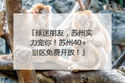 球迷朋友，苏州实力宠你！苏州40+景区免费开放！