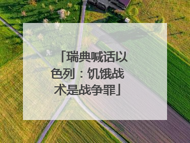 瑞典喊话以色列：饥饿战术是战争罪