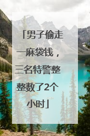 男子偷走一麻袋钱，三名特警整整数了2个小时