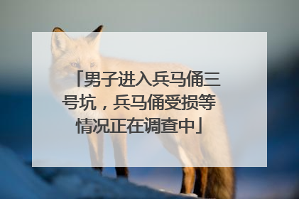 男子进入兵马俑三号坑，兵马俑受损等情况正在调查中