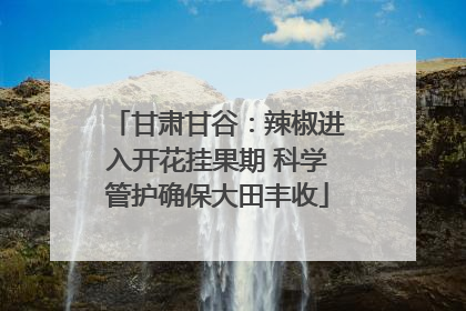 甘肃甘谷：辣椒进入开花挂果期 科学管护确保大田丰收