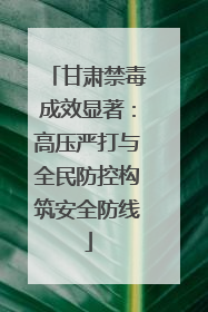 甘肃禁毒成效显著：高压严打与全民防控构筑安全防线