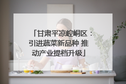甘肃平凉崆峒区：引进蔬菜新品种 推动产业提档升级