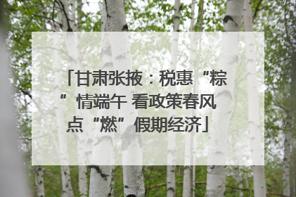 甘肃张掖：税惠“粽”情端午 看政策春风点“燃”假期经济