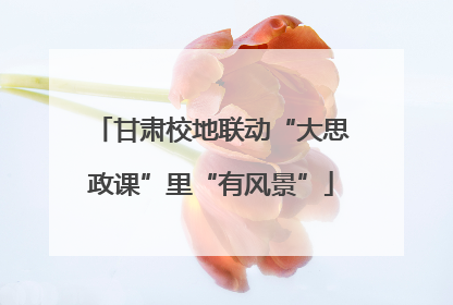 甘肃校地联动“大思政课”里“有风景”