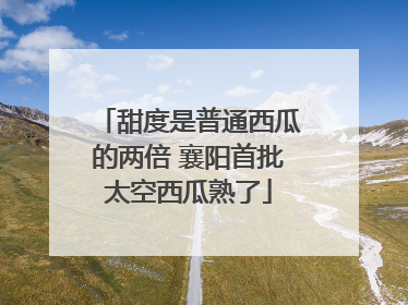 甜度是普通西瓜的两倍 襄阳首批太空西瓜熟了