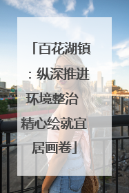 百花湖镇：纵深推进环境整治 精心绘就宜居画卷