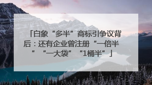白象“多半”商标引争议背后：还有企业曾注册“一倍半”“一大袋”“1桶半”
