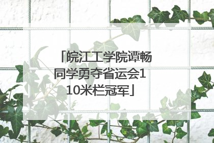 皖江工学院谭畅同学勇夺省运会110米栏冠军
