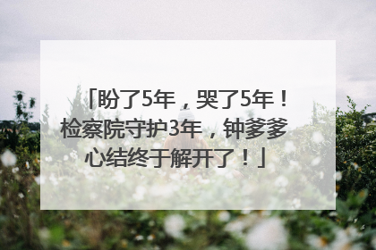 盼了5年，哭了5年！检察院守护3年，钟爹爹心结终于解开了！