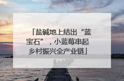 盐碱地上结出“蓝宝石”，小蓝莓串起乡村振兴全产业链