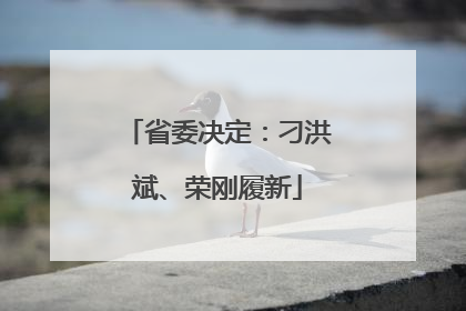 省委决定：刁洪斌、荣刚履新