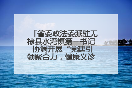 省委政法委派驻无棣县水湾镇第一书记 协调开展“党建引领聚合力，健康义诊惠乡亲”义诊活动