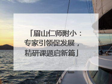 眉山仁师附小：专家引领促发展，精研课题启新篇