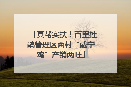 真帮实扶！百里杜鹃管理区两村“威宁鸡”产销两旺