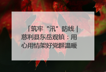 筑牢“汛”防线｜慈利县东岳观镇：用心用情架好党群温暖悠长的“连心桥”