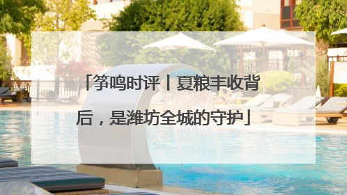 筝鸣时评丨夏粮丰收背后，是潍坊全城的守护