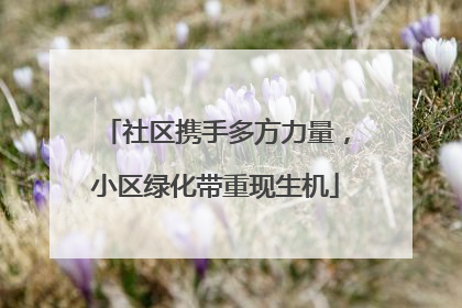 社区携手多方力量，小区绿化带重现生机