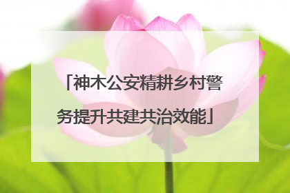 神木公安精耕乡村警务提升共建共治效能