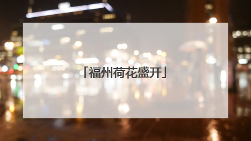 福州荷花盛开