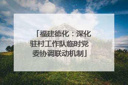 福建德化：深化驻村工作队临时党委协调联动机制