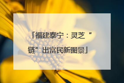 福建泰宁：灵芝“链”出富民新图景