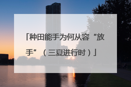 种田能手为何从容“放手”（三夏进行时）