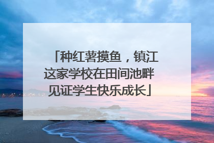 种红薯摸鱼，镇江这家学校在田间池畔见证学生快乐成长
