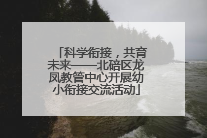 科学衔接，共育未来——北碚区龙凤教管中心开展幼小衔接交流活动