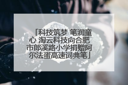 科技筑梦 笔润童心 淘云科技向合肥市郎溪路小学捐赠阿尔法蛋高速词典笔