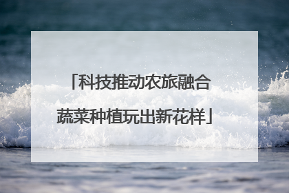 科技推动农旅融合 蔬菜种植玩出新花样