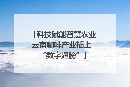 科技赋能智慧农业 云南咖啡产业插上“数字翅膀”