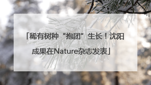 稀有树种“抱团”生长！沈阳成果在Nature杂志发表