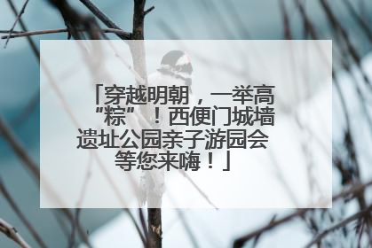 穿越明朝，一举高“粽”！西便门城墙遗址公园亲子游园会等您来嗨！