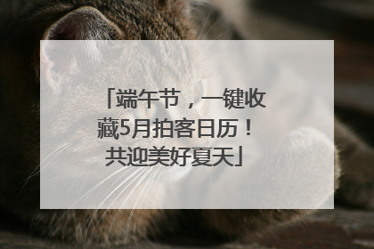 端午节，一键收藏5月拍客日历！共迎美好夏天