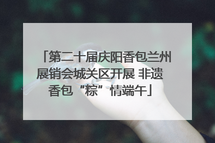 第二十届庆阳香包兰州展销会城关区开展 非遗香包“粽”情端午