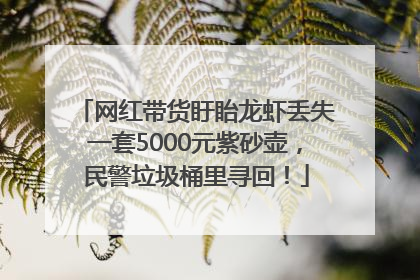 网红带货盱眙龙虾丢失一套5000元紫砂壶，民警垃圾桶里寻回！