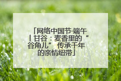 网络中国节·端午丨甘谷：麦香里的“谷角儿” 传承千年的亲情纽带