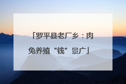 罗平县老厂乡：肉兔养殖“钱”景广