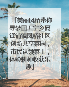 美丽凤桥带你寻梦田！宁乡夏铎铺镇凤桥社区创新共享菜园，市民认领菜土，体验耕种收获乐趣