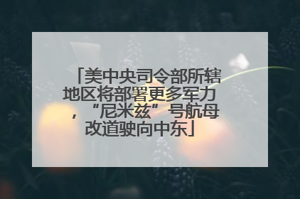 美中央司令部所辖地区将部署更多军力，“尼米兹”号航母改道驶向中东
